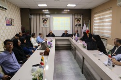 برگزاری کمیته دانشگاهی RCA، موربیدیتی و ارتقا سلامت مادران توسط معاونت درمان