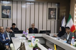 برگزاری کمیته دانشگاهی مرگ مادری