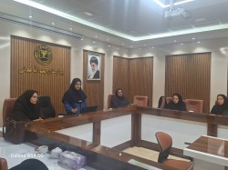برگزاری کارگاه آموزشی راهنمای کشوری خدمات مامایی یک